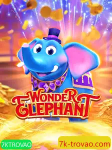 Explorando o Fascinante Mundo de WonderElephant